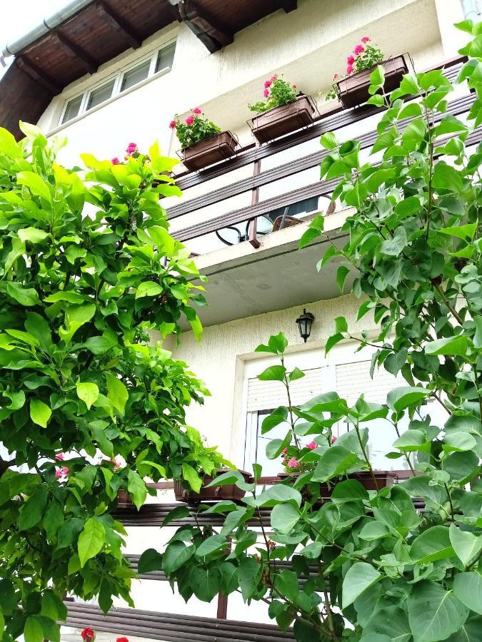 Apartman Kod Dide I Bake Vukovar Buitenkant foto
